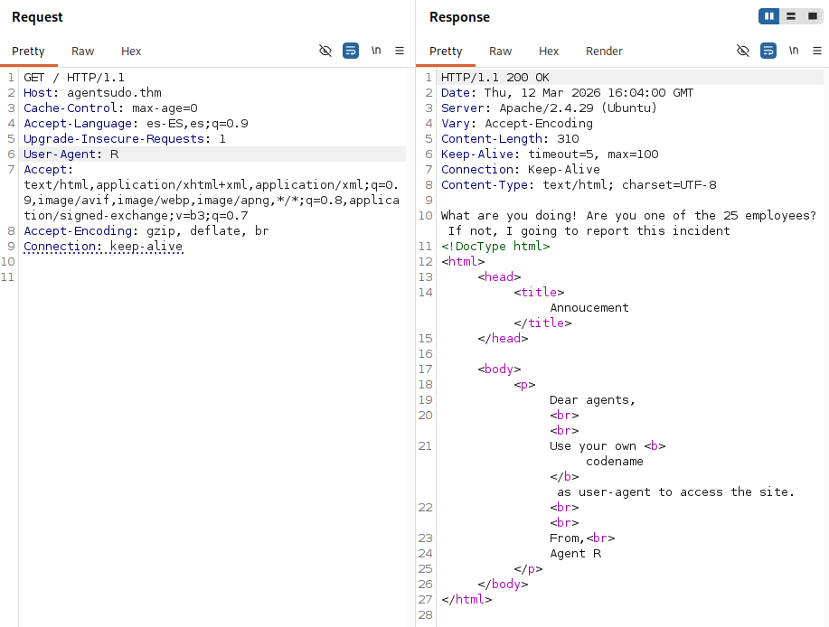 agent-sudo