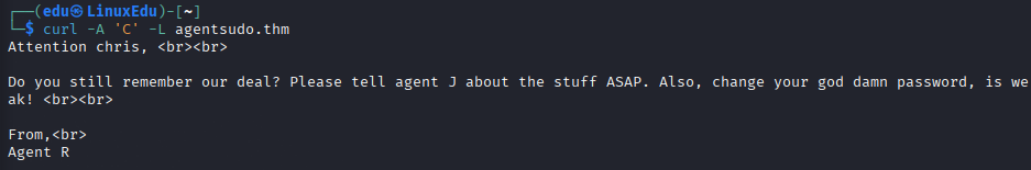 agent-sudo