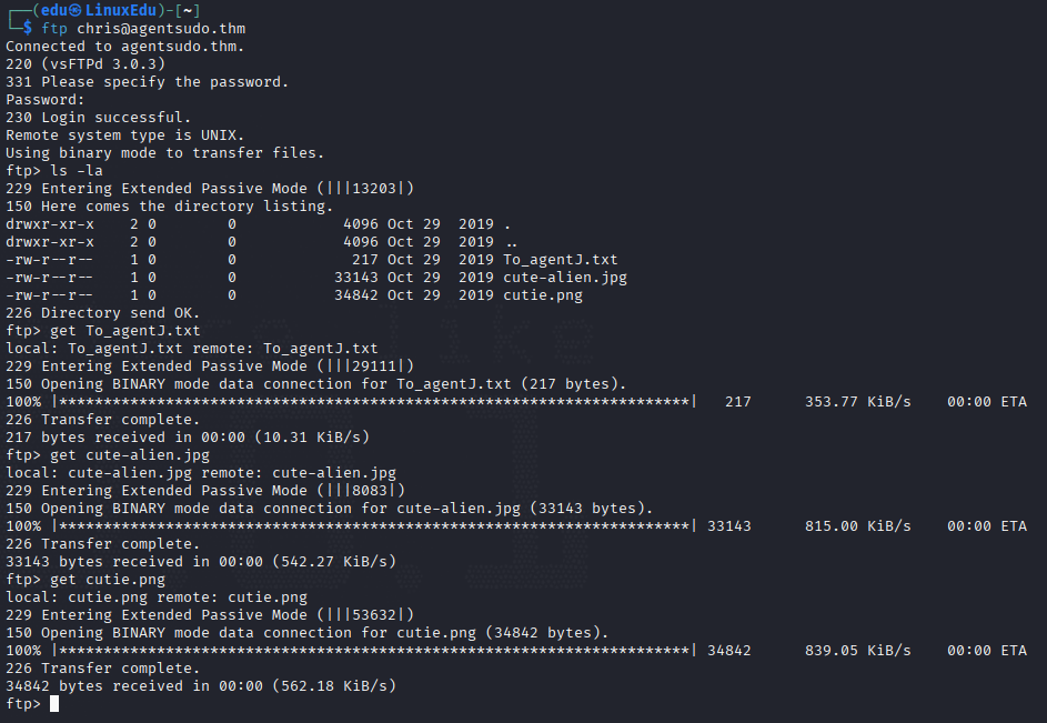 agent-sudo