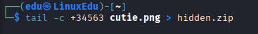 agent-sudo