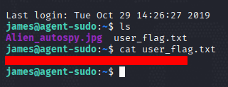 agent-sudo