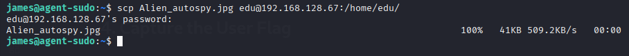 agent-sudo