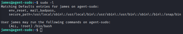 agent-sudo