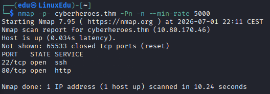 cyberheroes