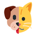 dogcat